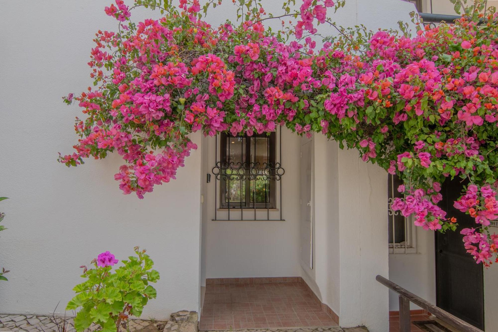 Coastal Retreat With Pool And Beach Access By Drago Rentals Albufeira Exterior photo